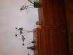 Sprzedam meble pokojowe
