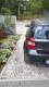 BMW Seria 1 2006 r. Hatchback / Sportback Diesel
