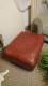 Fotel skórzany z podnóżkiem 1 szt.