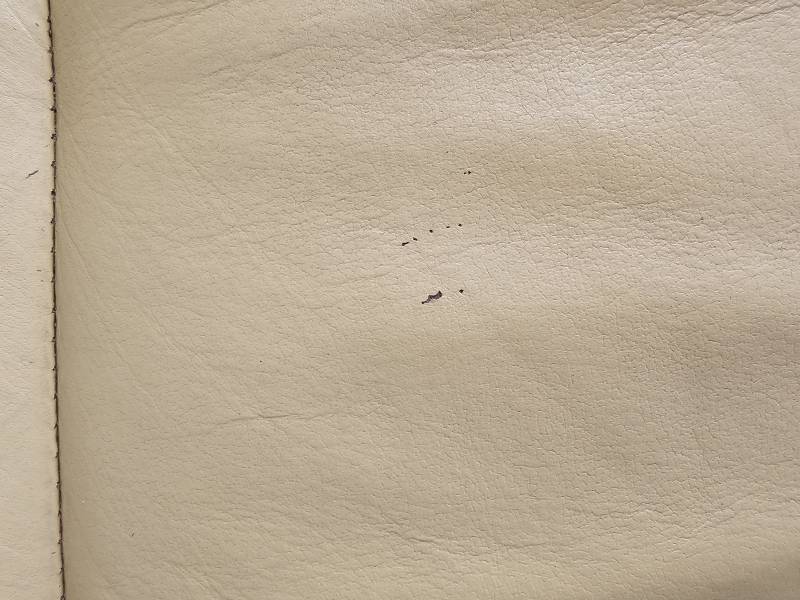 Meble na sprzedaż 1 szt.