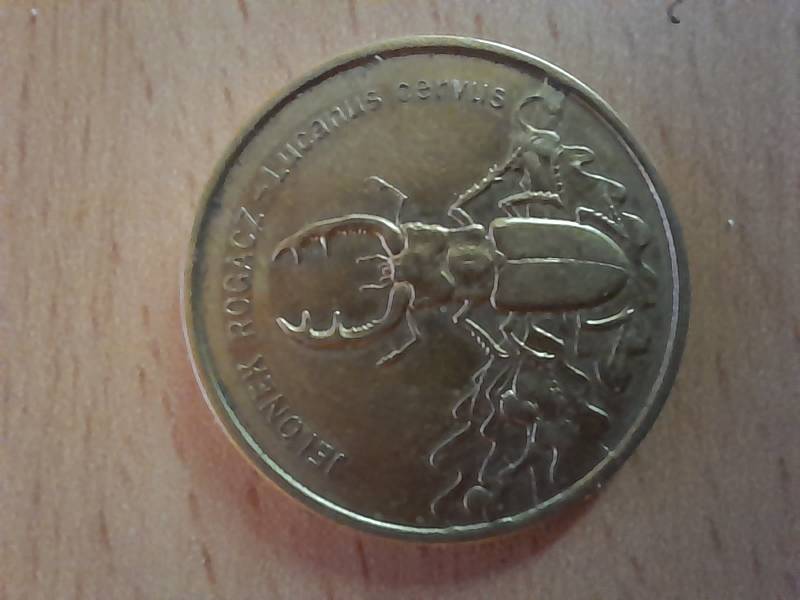 Moneta 2 zł Jelonek Rogacz – Lucanus cervus 1977 r. 1 szt.
